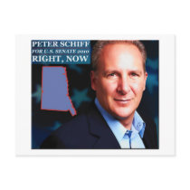 Peter Schiff for Senate Postcards