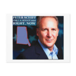 Peter Schiff for Senate postcards