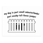 Petit Barrière-Pullover de pièce de Munsterlander  Carte Postale