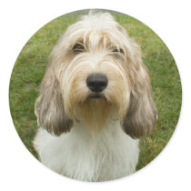 Petit Basette Griffon Vendeen Sticker