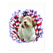 Petit Basset Griffon Vendéen Patriot Postcard