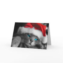 Petit chaton de Noël - Carte De Vœux