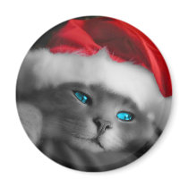 Petit chaton de Noël - Aimant Pour Réfrigérateur