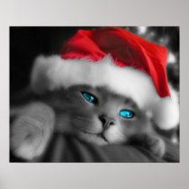 Petit chaton de Noël - Poster