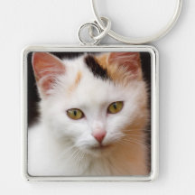 Petit chaton mignon porte-clé