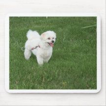 Petit chien blanc tapis de souris
