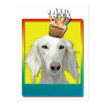 Petit gâteau d'anniversaire - Saluki Carte Postale