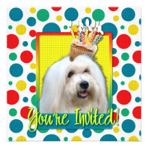 Petit gâteau d'invitation - coton de Tulear