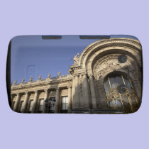 Petit Palais. Paris. France casemate cases