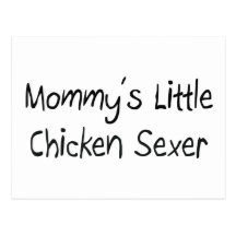 Petit poulet Sexer de Mommys Carte Postale