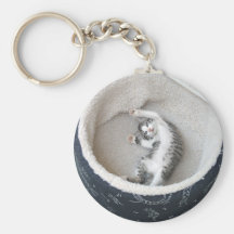 Petit somme de chat porte-clé