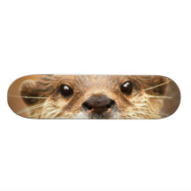 Petite loutre griffée asiatique planches à roulettes