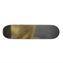 Petite oie jaune sur la rivière skateboard