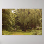 Petite ville posters