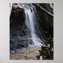 Petite Waterfall Poster