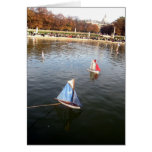 Petits bateaux cards