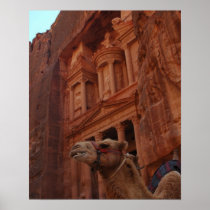 Petra Camel Print