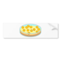 Petri Dish MRSA Bumper Sticker