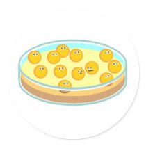 Petri Dish MRSA Stickers