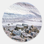 Petrified Forest - Desert National Park Round Sticker