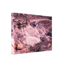 petrified forest gallery wrapped canvas