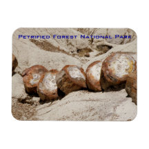 Petrified Forest National Park Rectangle Magnets