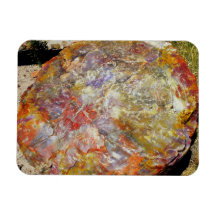 Petrified Forest National Park Vinyl Magnet