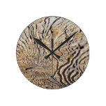 Petrified Round Clocks