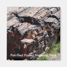 Petrified wood fridge magnet