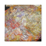 Petrified wood fridge magnets