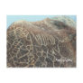 Petroglyphs Post Cards