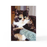 PETS GREETING CARDS