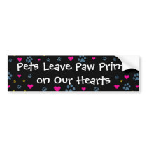 Pets Leave Paw Prints on Our Hearts
