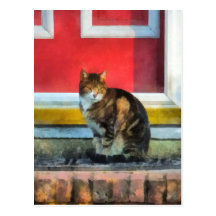 Pets - Tabby Cat by Red Door Post Card