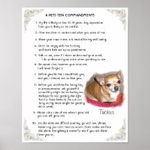 PETS TEN COMMANDMENTS POSTERS