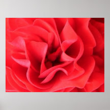 Petticoat Petals Print