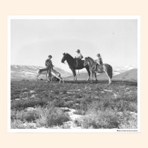 Petting Antelopes. posters