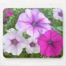 petunia mousepad