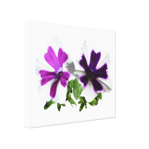 Petunias Standing Guard Canvas Print