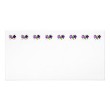 Petunias Standing Guard Photo Greeting Card