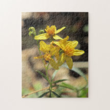 Peu de puzzle de fleurs sauvages de tête de citron