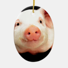 Peu porcin ornement de noël