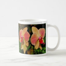 Phalaenopsis Mugs