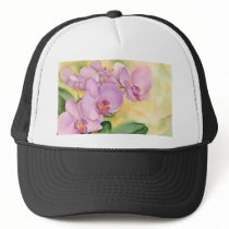 Phalaenopsis Orchid Flowers - Multi Hat