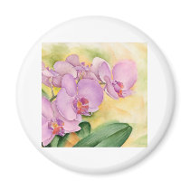 Phalaenopsis Orchid Flowers - Multi Fridge Magnet