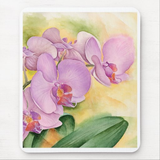 Phalaenopsis Orchid Flowers - Multi Mouse Mats