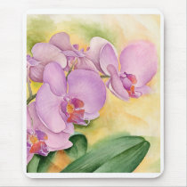Phalaenopsis Orchid Flowers - Multi Mouse Mats