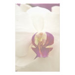 Phalaenopsis Orchid Stationery Paper