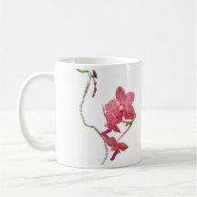 Phalenopsis Orchid Mugs