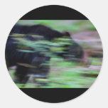 Phantom of the Forest Stickers